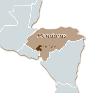 Honduras, La Paz-Comayagua, Lavado Parainema