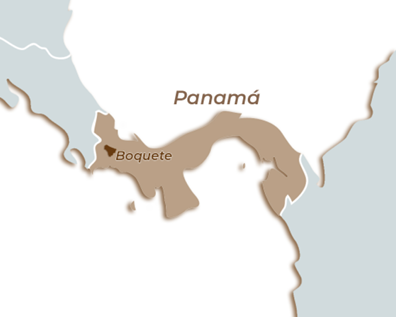 Panamá- Lorayne, Chiriqui, Natural Pacamara
