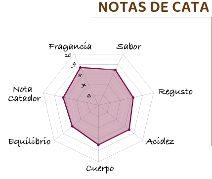 Panamá- Lorayne, Chiriqui, Natural Pacamara