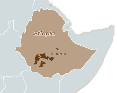Etiopia- Sidamo Dara Woreda, Lavado Heirloom